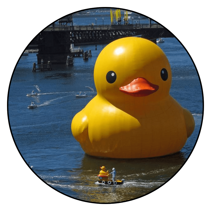 duckmarket